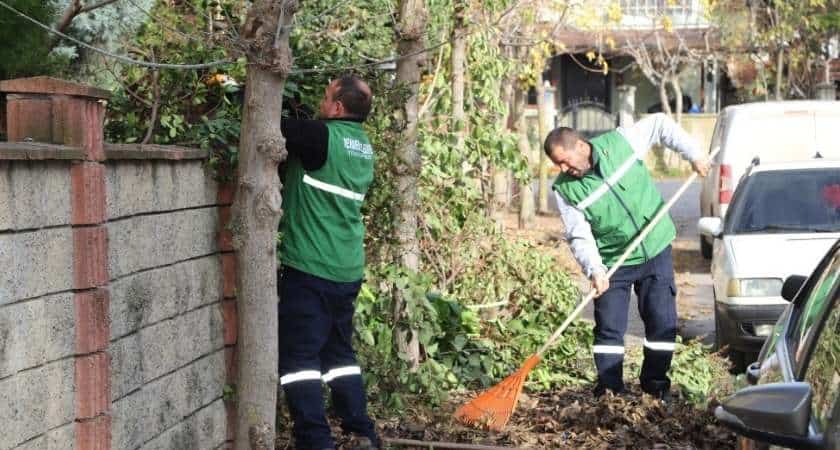 hendek-belediyesi-budama-temizlik.jpg