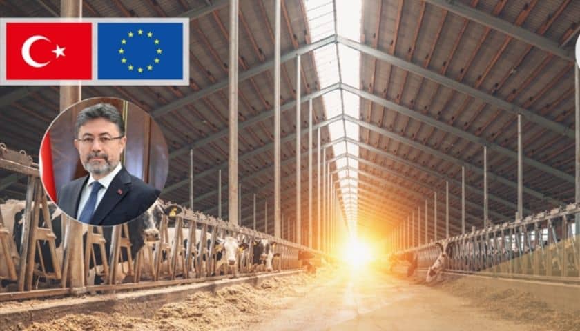 Hayvansal Üretime 3,6 Milyar TL’lik Dev Hibe Desteği