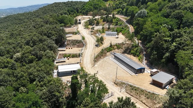 Arifiye Belediyesi Sokak Hayvanları Barınağı Hizmete Girdi