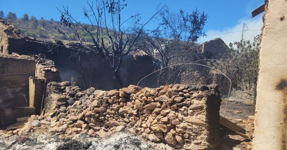 Karabük, Bilecik, Sakarya ve Antalya’daki yangınlarda 87 yapı ağır hasar aldı