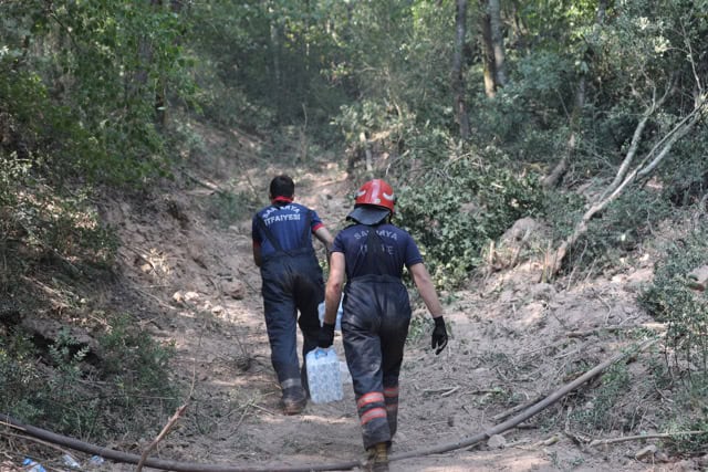 Sakarya Büyükşehir'den orman yangınlarıyla ilgili açıklama: İkisi kontrol altında