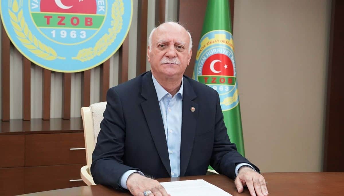 Ağustos ayında üretici-market fiyat farkı havuçta zirve yaptı