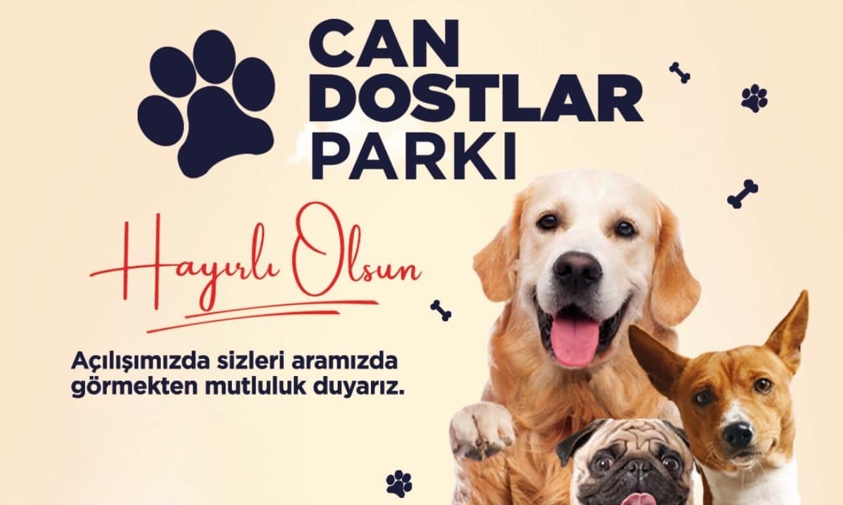 Evcil Hayvanlar İçin Özel Tasarım Park: Can Dostlar Açılıyor