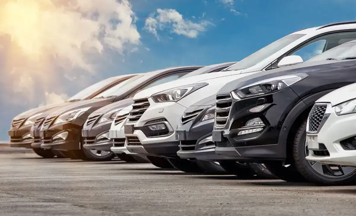 69085419b00a1553-w1200xh730-1762159807