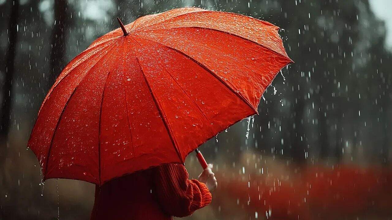 whatsapp-image-2025-08-20-at-113222