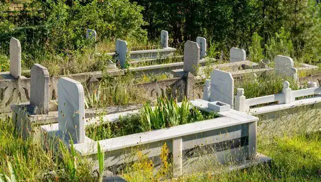 z5dwzsrkveacpgike4cj8g-1762171307