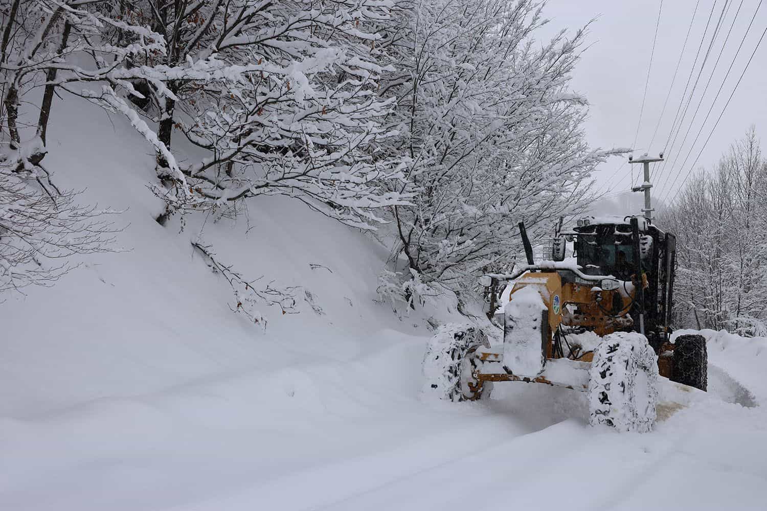 5baa02b1-a217-4df5-bb02-e2dacccb9029