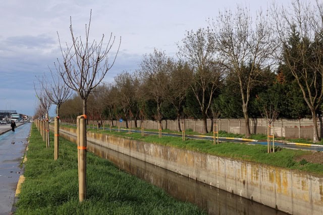 Sakarya'da 2 bin 500 ağaç, toprakla buluşarak doğa dostu projeye katkı sağladı.