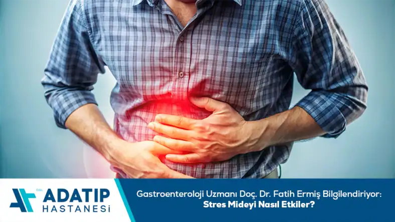 attachment-2772-1-5fde9640193ffff0d1d8b2a7b088c788-1772181569