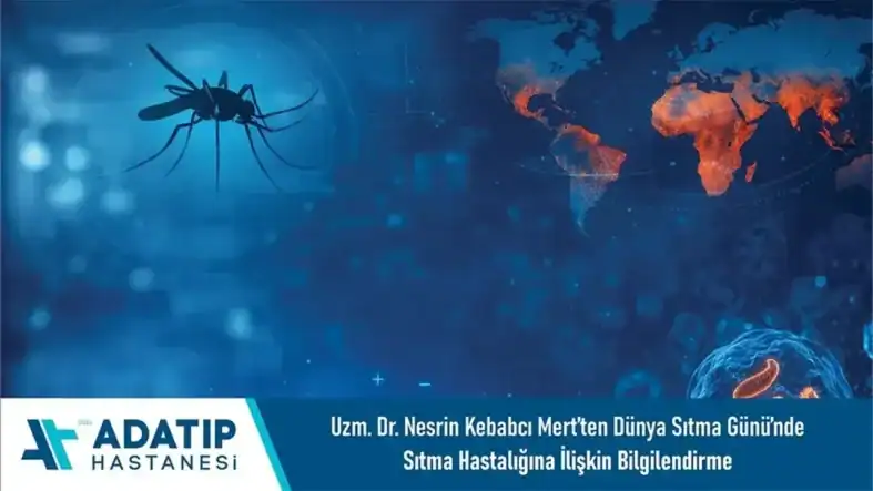 ded35881-a670-4792-a975-b2e96055aec7