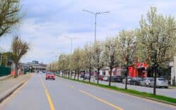 Sakarya’da 200 Bin Çiçekle Parklar ve Refüjler Baharın Canlı Tonlarına Büründü